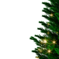 Künstlicher Weihnachtsbaum RUDOLPH mit Lichtern, 150 cm, grün