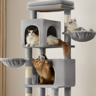 Katzenbaum TRISTAN, 57x45x175 cm, grau