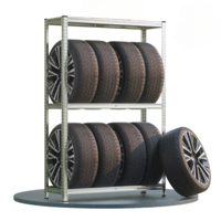 Reifenregal TYRE, 120x40x180 cm, max. 795 kg, Stahl/hellbraun